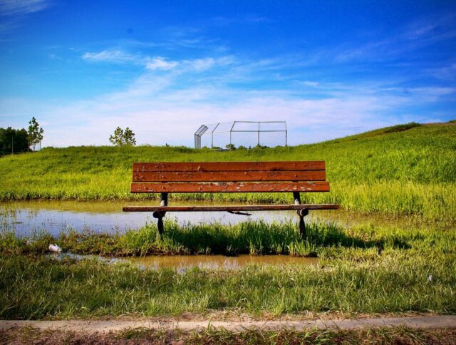 | \ Summer’s day
06.15.2005