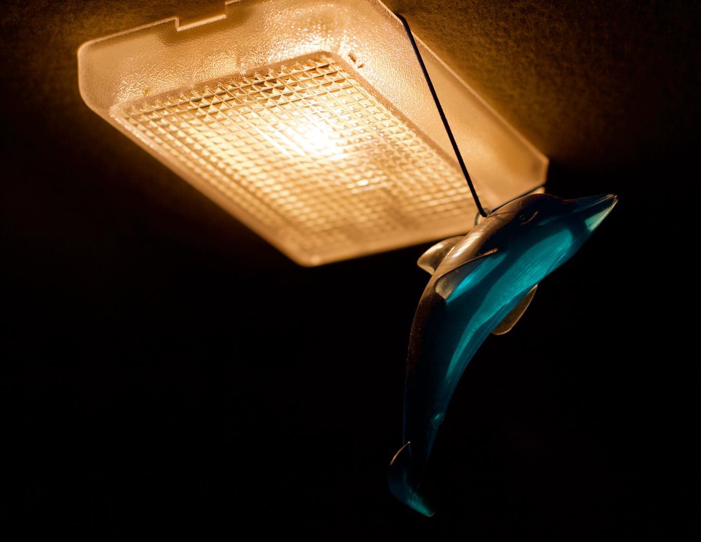 01/22/2010 | \ 
|
|
|
|
|
|
|
#Canada #Manitoba #Dolphin #Car #OldCar #Ornament #Vintage