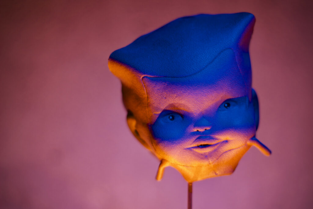 Artistic photo of a doll's face with dramatic blue and orange lighting, giving a surreal, vibrant look against a muted pink background.